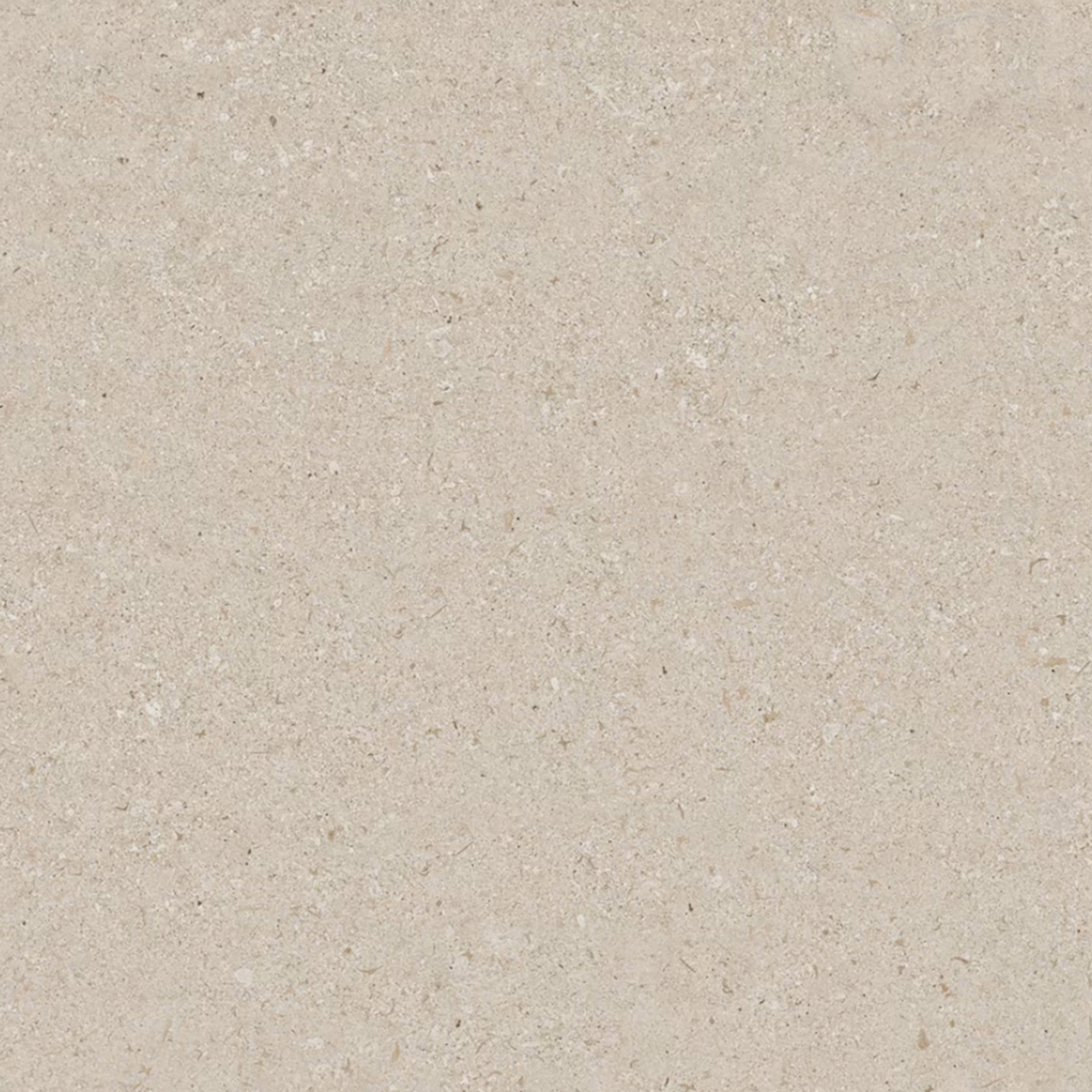 Avorio