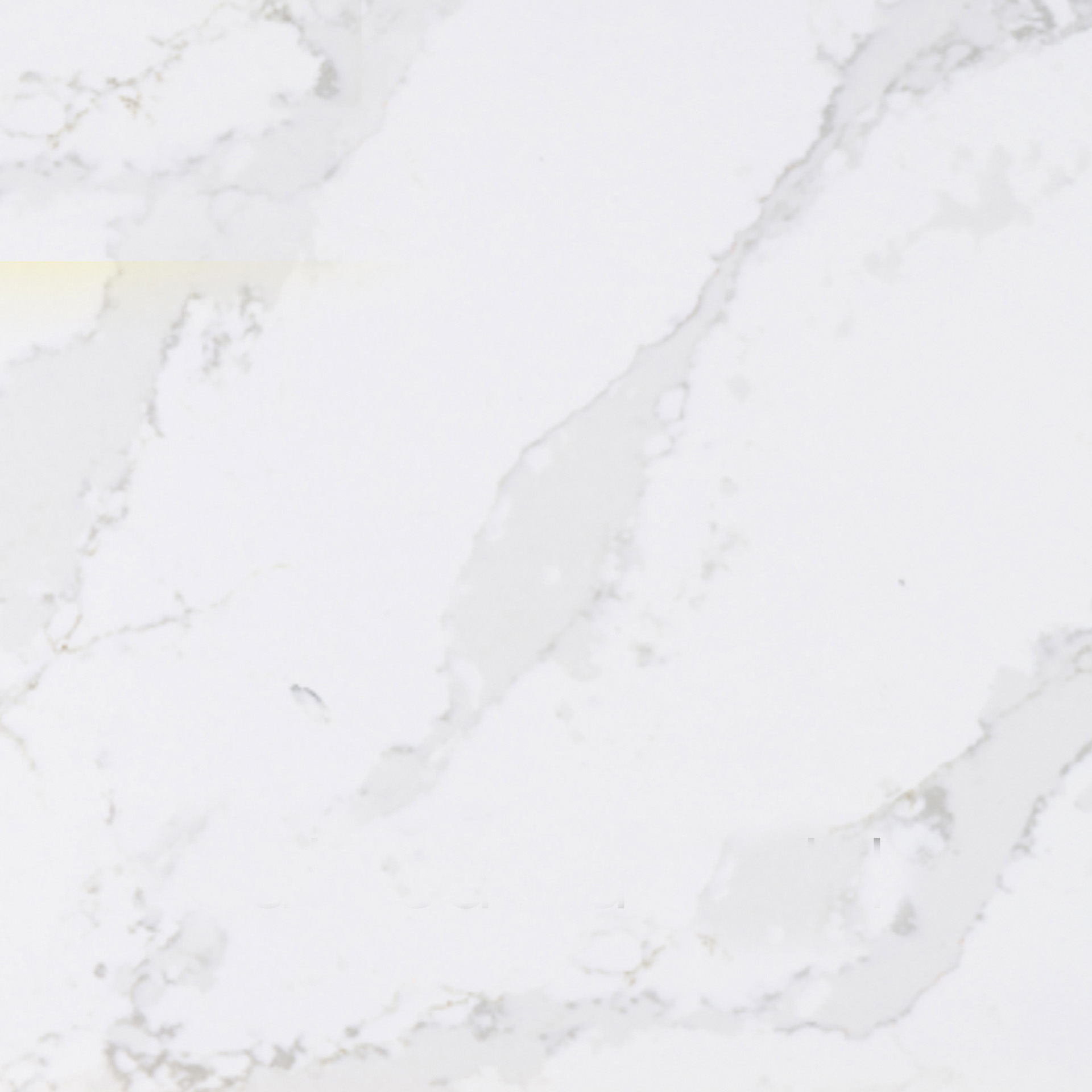 Calacatta gold